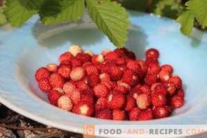 Kuidas külmutada looduslikke maasikaid
