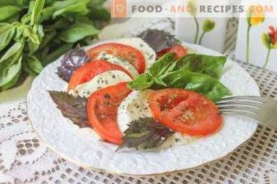 Salatid mozzarella ja tomatitega
