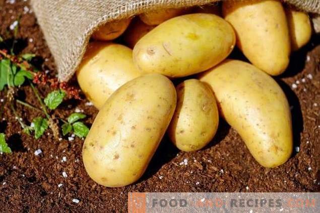 Odavate vahendite läbivaatamine kartulite ettevalmistamiseks haiguste ja kahjurite jaoks