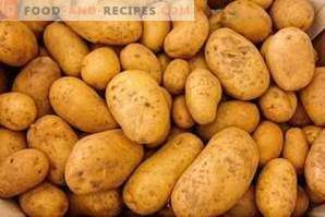 Kuidas külmutada kartulid