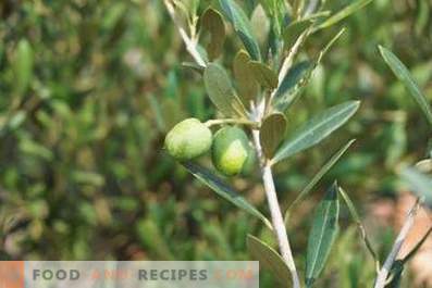 Kuidas oliiviõli valmistada